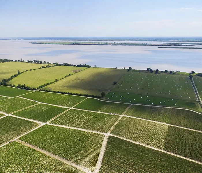 Carrossel Produtores - Léoville Las Cases 04