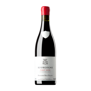 Domaine Paul Pillot Bourgogne Rouge 2019 (0333)