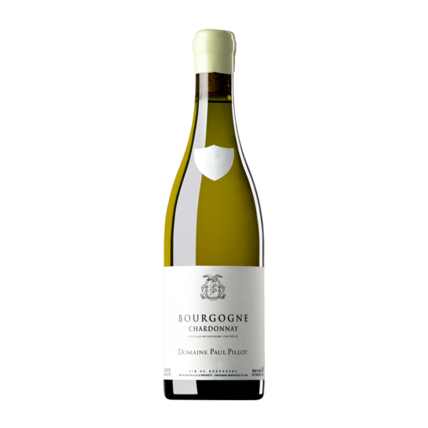 Domaine Paul Pillot Bourgogne Blanc 2019 (0329)