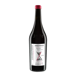 Cellier Saint Benoit Arbois 'Courbes Raies' Pinot Noir - 2020