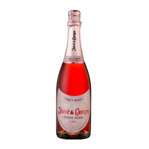 Cava Juvé & Camps Pinot Noir Brut Rosé - NV