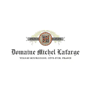 Logo_Site_MichelLafar