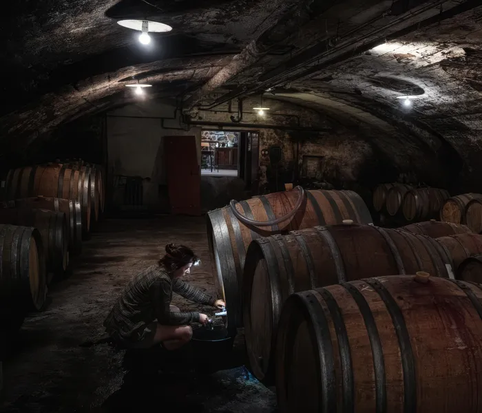 Carrossel Produtores - Domaine de la Grand' Cour 03