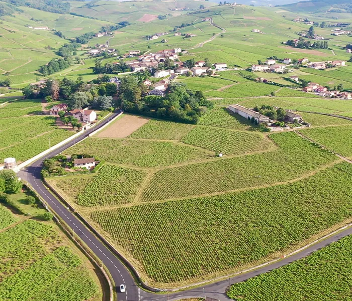 Carrossel Produtores - Domaine de la Grand' Cour 07