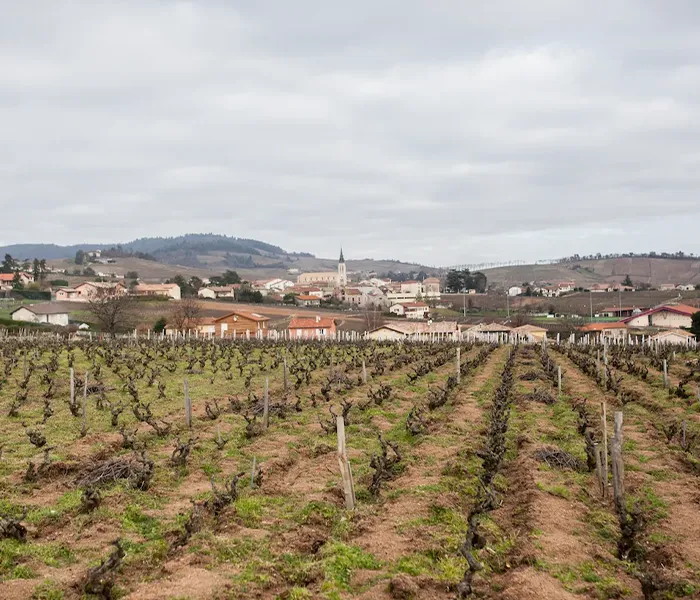 Carrossel Produtores - Domaine de la Grand' Cour 09