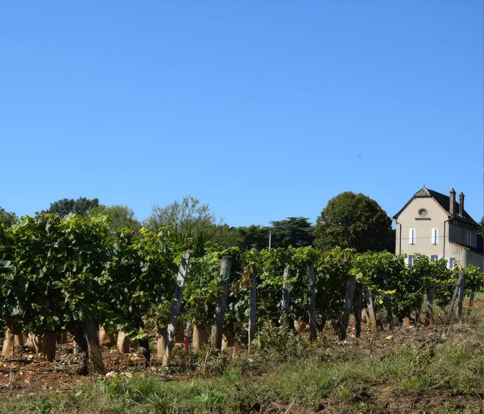 Carrossel Produtores - Cottenceau 08