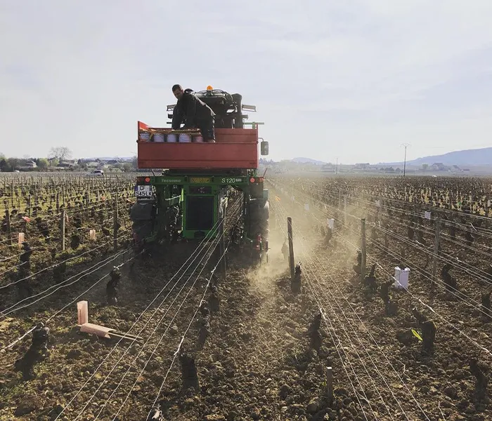 Carrossel Produtores - François Carillon 01