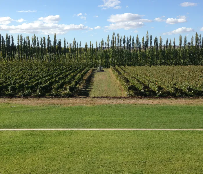 Carrossel Produtores - Chacra 01