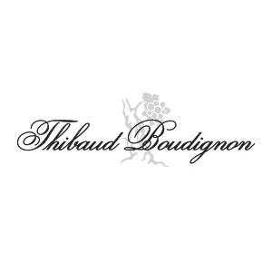 Logo_Site_Thibaud