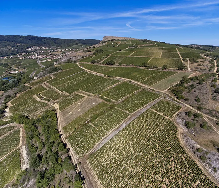 Carrossel Produtores - Olivier Merlin 02