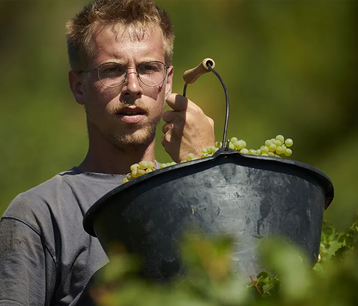 Carrossel Produtores - Olivier Merlin 09