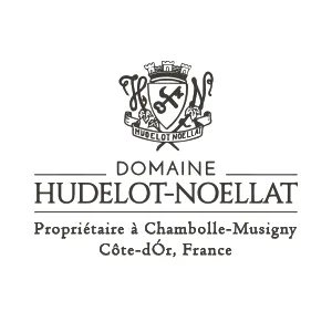 Hudelot-Noëllat-BannersLogo_Site