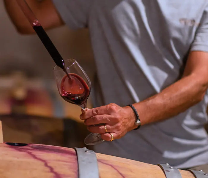 Carrossel Produtores - Clos Rougeard 02