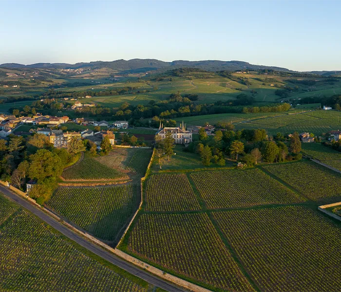 Carrossel Produtores - Château des Quarts 01