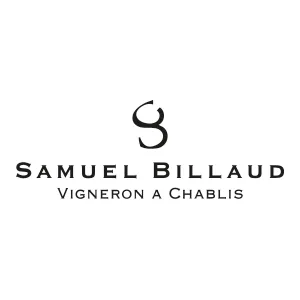 Logo_Site_SAamuel_Billaud Logo_Site_SAamuel_Billaud