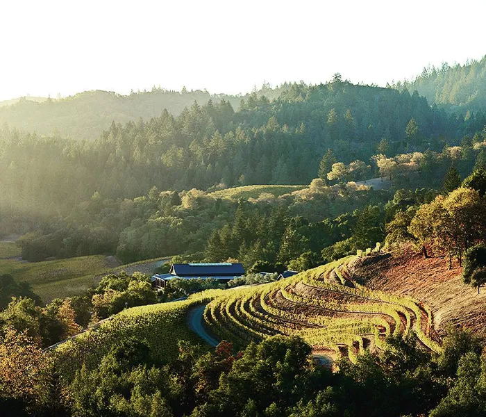 Carrossel Produtores - Artadi 07