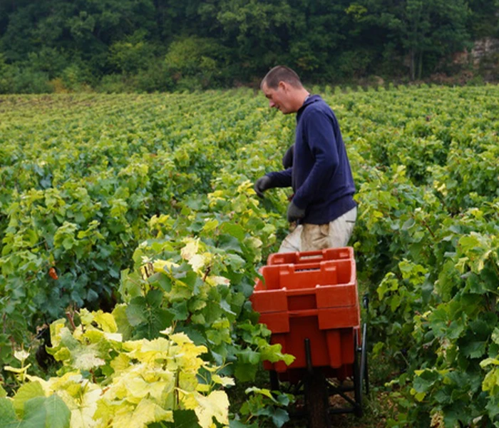 Carrossel Produtores -04