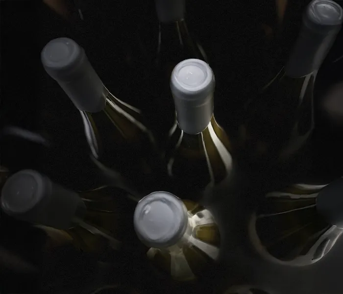 Carrossel Produtores - Domaine de la Pierre Gravée 03