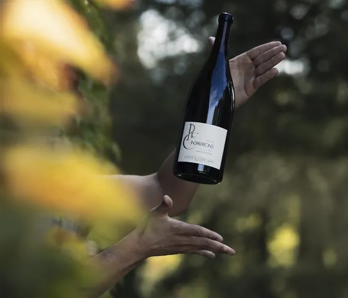 Carrossel Produtores - Domaine de la Pierre Gravée 05
