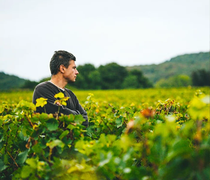 Carrossel Produtores - Dureuil-Janthial 04