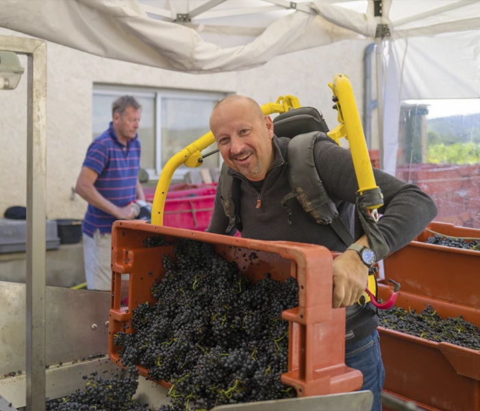 Carrossel Produtores -Fourrier 02