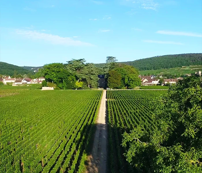 Carrossel Produtores - Henri Rebourseau 08