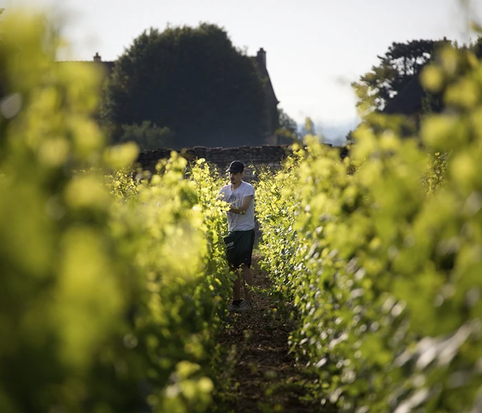 Carrossel Produtores - Henri Rebourseau 09