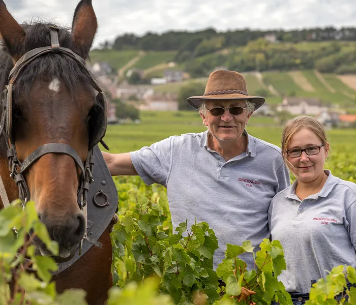 Carrossel Produtores - Lafarge Vial 01