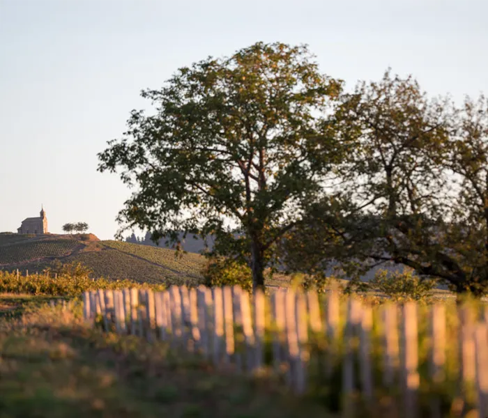 Carrossel Produtores - Lafarge Vial 04