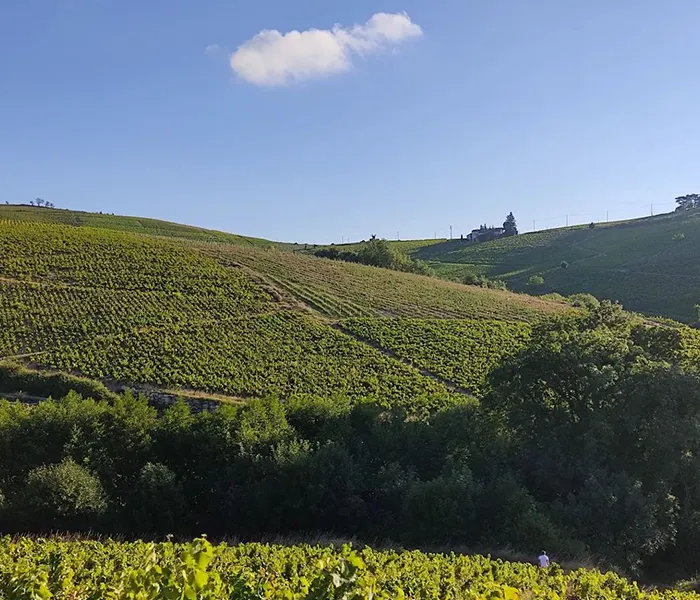 Carrossel Produtores - Lafarge Vial 05