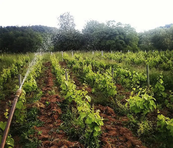 Carrossel Produtores - Lafarge Vial 07