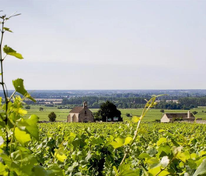 Carrossel Produtores - Michel Lafarge 05