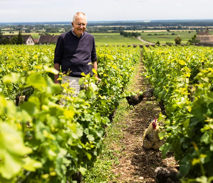 Carrossel Produtores - Michel Lafarge 09