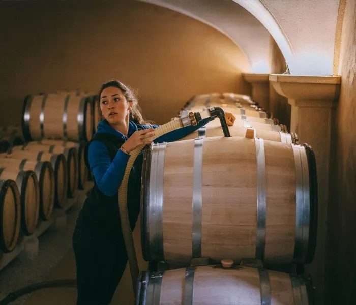 Carrossel Produtores - Michel Niellon 05