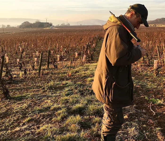 Carrossel Produtores - Michel Niellon 09