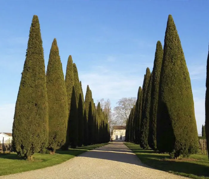 Carrossel Produtores - Trotanoy 03