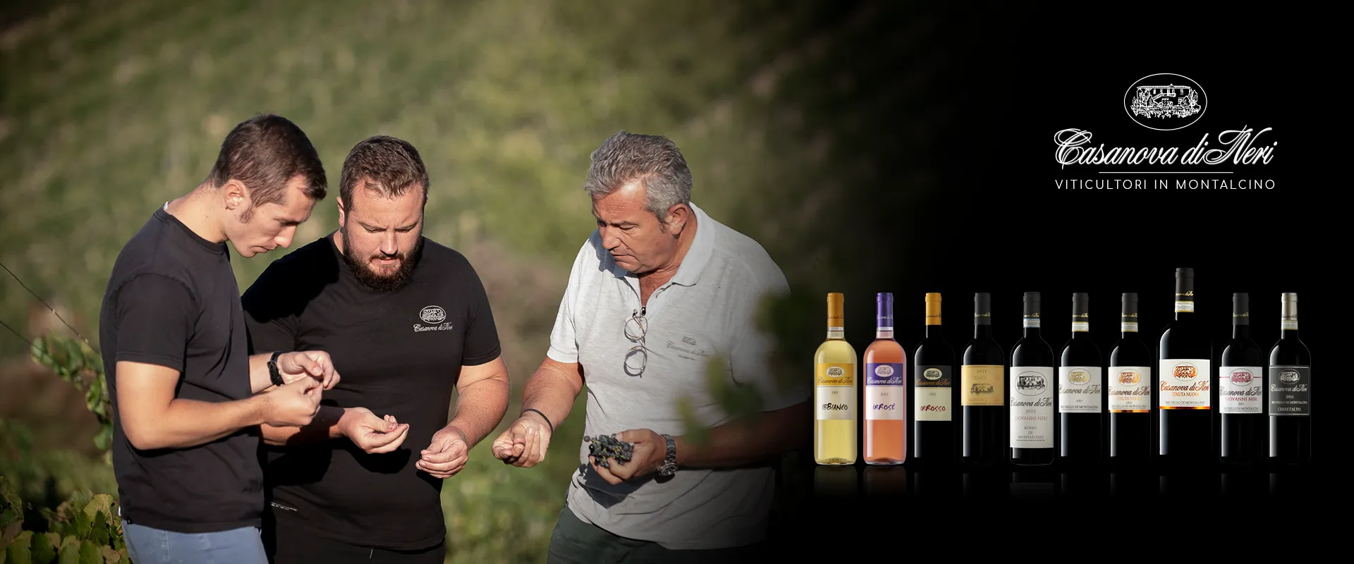 Carrossel Campanha - Casanova di Neri