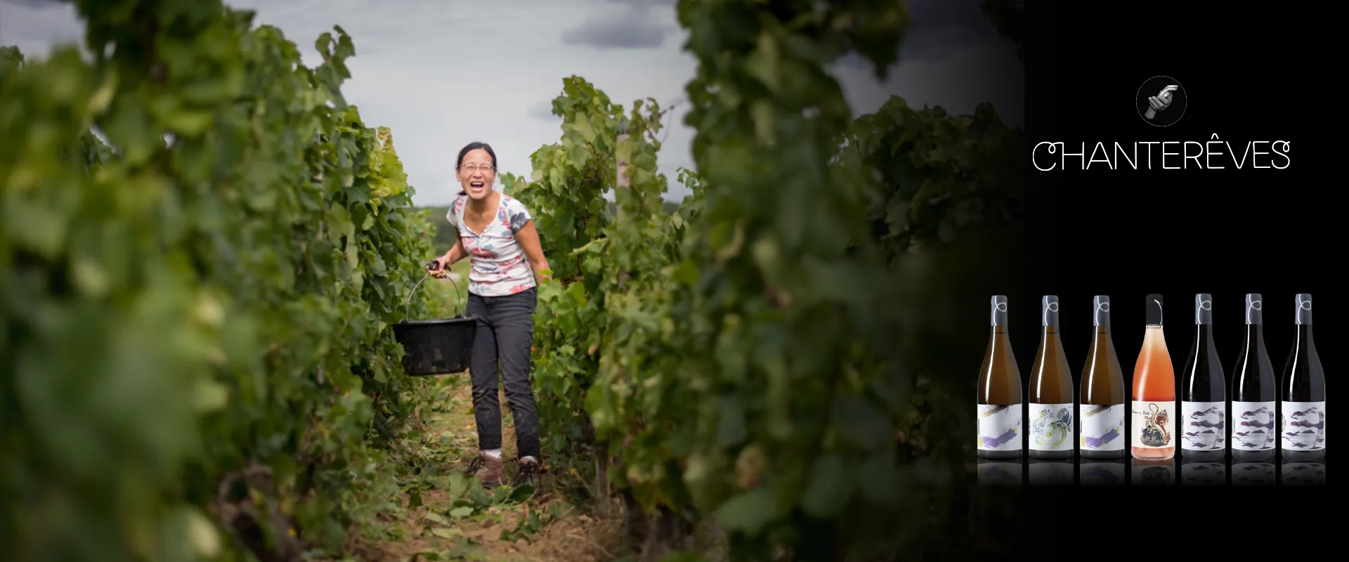 Carrossel Campanha - Chanterêves copiar