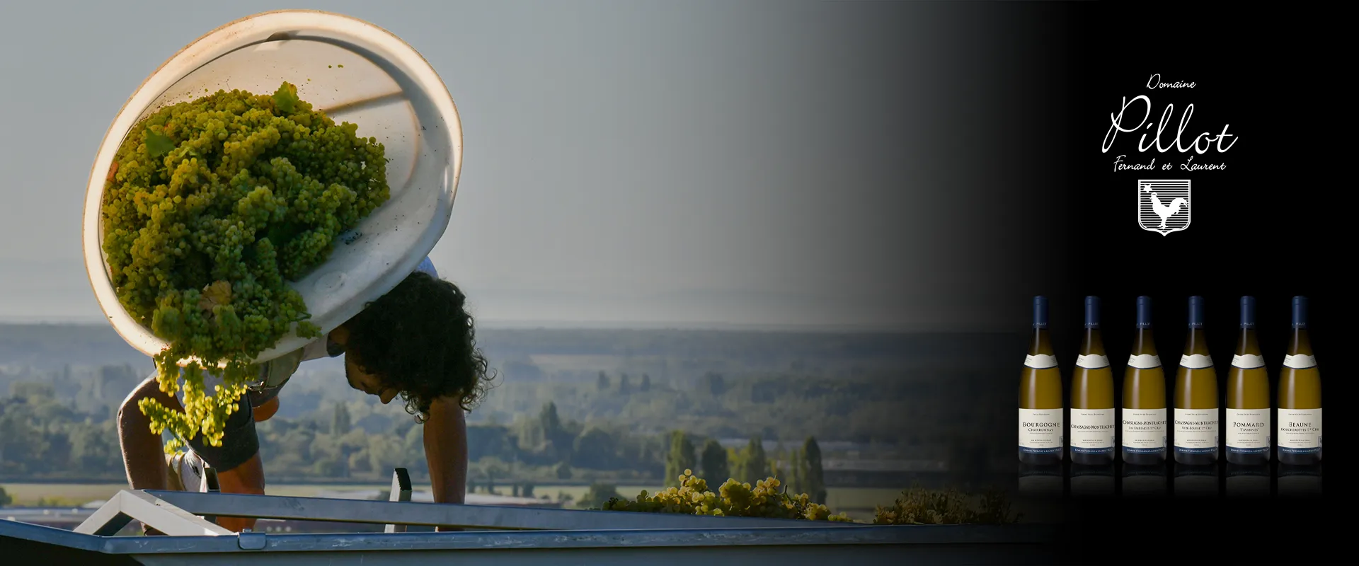 Carrossel Campanha - Fernand & Laurent Pillot