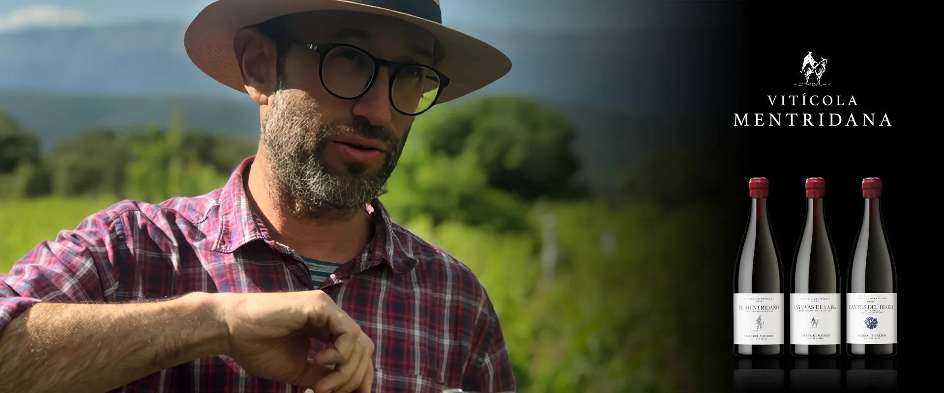 Carrossel Campanha - Vitícola Mentridana