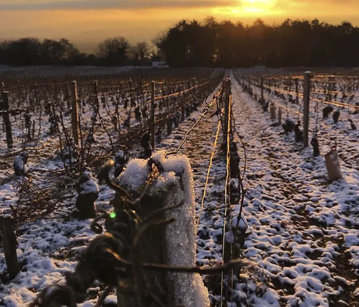 Carrossel Produtores - Alain Chavy 06