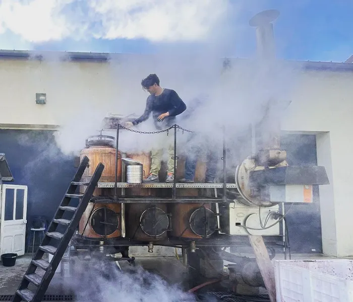 Carrossel Produtores - Cassiopée 06