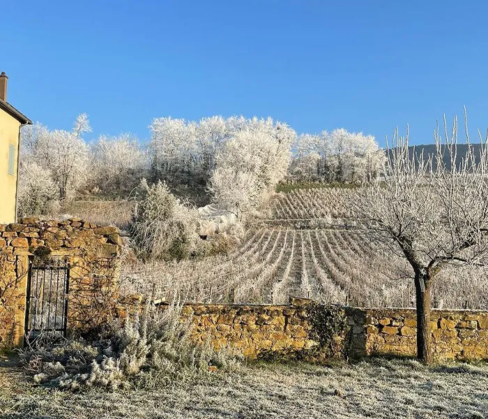 Carrossel Produtores - Cassiopée 07