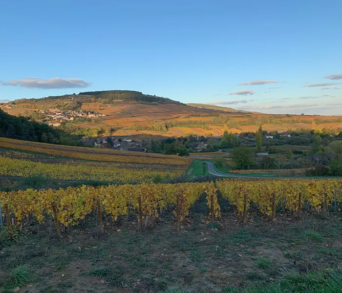 Carrossel Produtores - Cassiopée 09