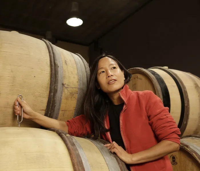 Carrossel Produtores - Chanterêves 03