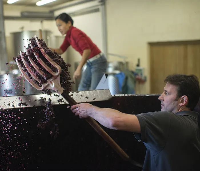 Carrossel Produtores - Chanterêves 06