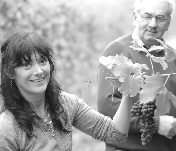 Carrossel Produtores - Chiara Boschis 04