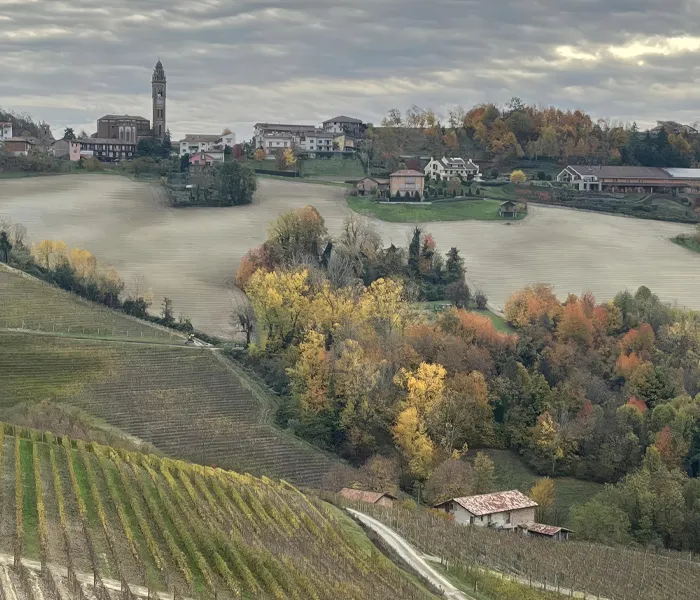 Carrossel Produtores - Chiara Boschis 08