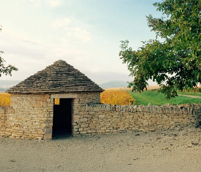 Carrossel Produtores - Fernand & Laurent Pillot 01