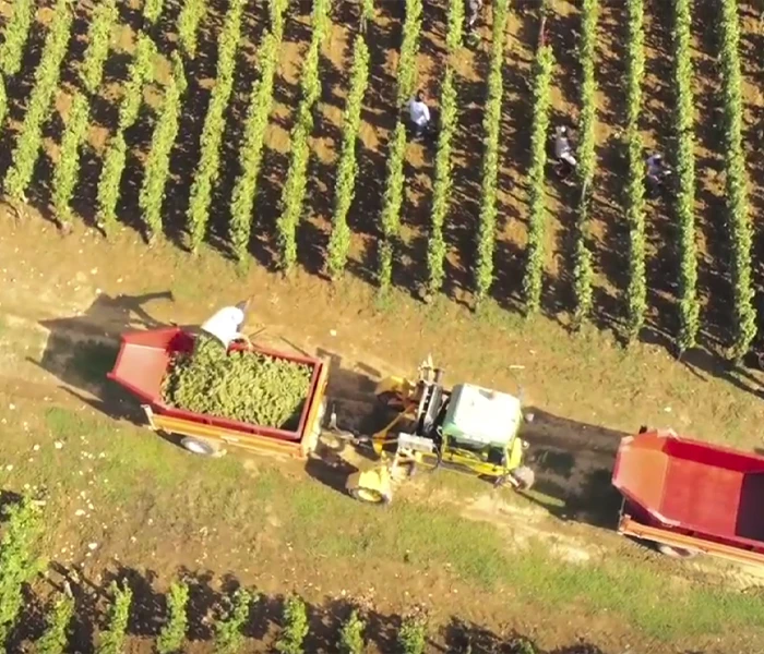 Carrossel Produtores - Fernand & Laurent Pillot 02